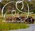 Conservation Action Trust