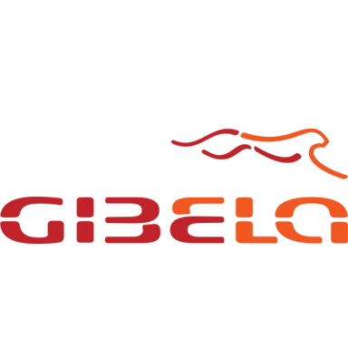 Gibela Rail Transport