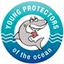 Young Protectors Of The Ocean